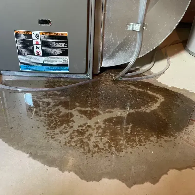 Appliance Leak Cleanup in River Rouge, MI